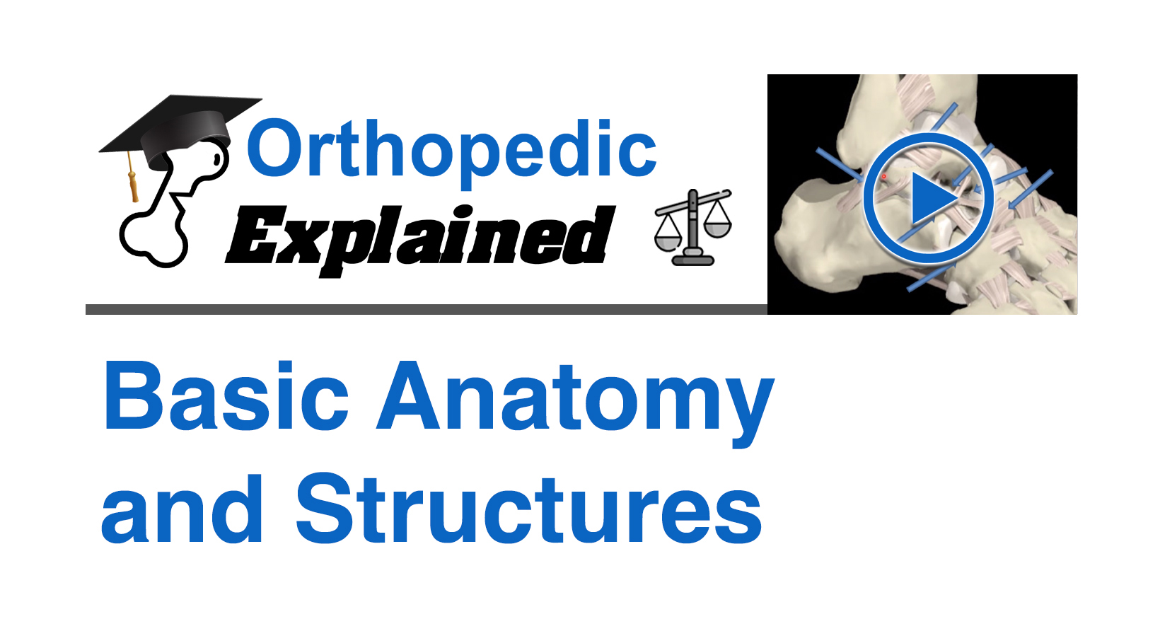 (AC) Basic anatomy and structures (Law)